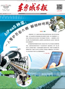 东方城乡报